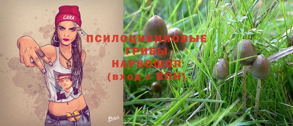 амф Белокуриха