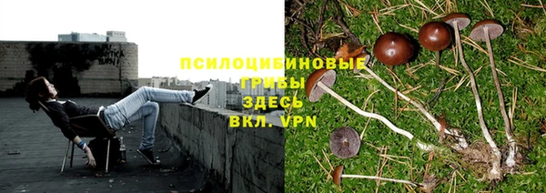 экстази Богородицк