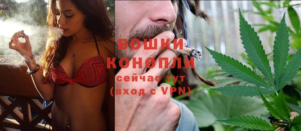 спиды Богородск